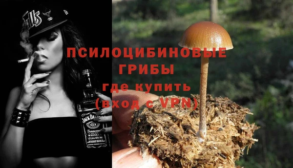 a pvp Белоозёрский