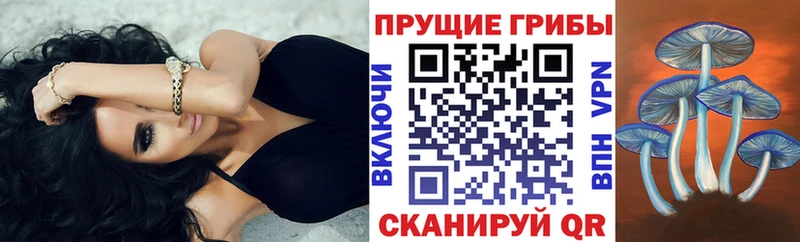 Псилоцибиновые грибы Psilocybine cubensis Тихорецк